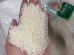 Basmatic Rice for Sale