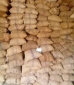 Cocoa Beans for Sale - Image 2