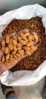 Premium Almond Nuts for Sale – High-Quality and Nutrient-Rich Our premium-grade Almond Nuts are cultivated and processed with care Brazil Almond Nuts Exporters, Exportateurs d’amandes du Brésil, Exportadores de amêndoas do Brasil, 巴西杏仁出口商, Exportadores de almendras de Brasil, مصدرو اللوز من البرازيل