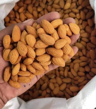 Premium Almond Nuts for Sale – High-Quality and Nutrient-Rich Our premium-grade Almond Nuts are cultivated and processed with care Brazil Almond Nuts Exporters, Exportateurs d’amandes du Brésil, Exportadores de amêndoas do Brasil, 巴西杏仁出口商, Exportadores de almendras de Brasil, مصدرو اللوز من البرازيل