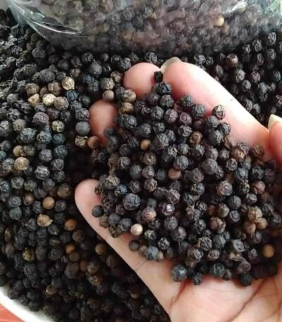 Black Pepper for Sale