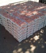 Chicken Eggs for Sale - Image 3