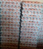 Chicken Eggs for Sale - Image 5