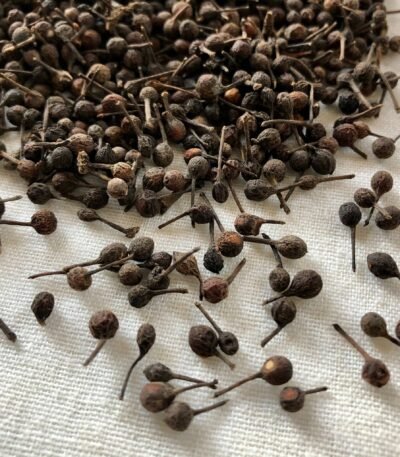 Premium Cubeb Pepper for Sale – Sustainably Sourced and Processed Our high-quality Cubeb Pepper is carefully sourced and processed to offer a bold, aromatic flavor Brazil Cubeb Pepper Exporters, Exportateurs de poivre cubèbe du Brésil, Exportadores de pimenta cubeba do Brasil, 巴西尾胡椒出口商, Exportadores de pimienta cubeba de Brasil, مصدرو فلفل الكوبيبة من البرازيل