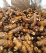 Organic Turmeric for Sale