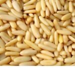 Pine Nuts for Sale