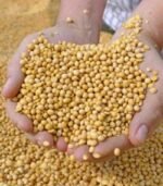 Refine Soya Beans Oil - Image 3