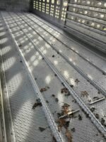 2015 Wilson 2015 - Image 4