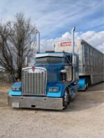 2017 KENWORTH w900 Glider
