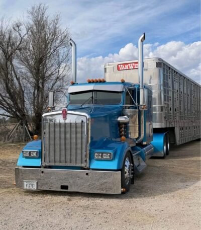2017 KENWORTH w900 Glider