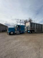 2017 KENWORTH w900 Glider - Image 4