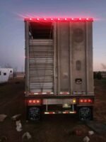 2007 Merritt Cattle - Image 4