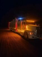 2007 Merritt Cattle - Image 5