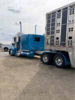 2017 KENWORTH w900 Glider - Image 11