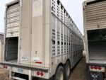 Livestock Trailer And Truck. - Image 11