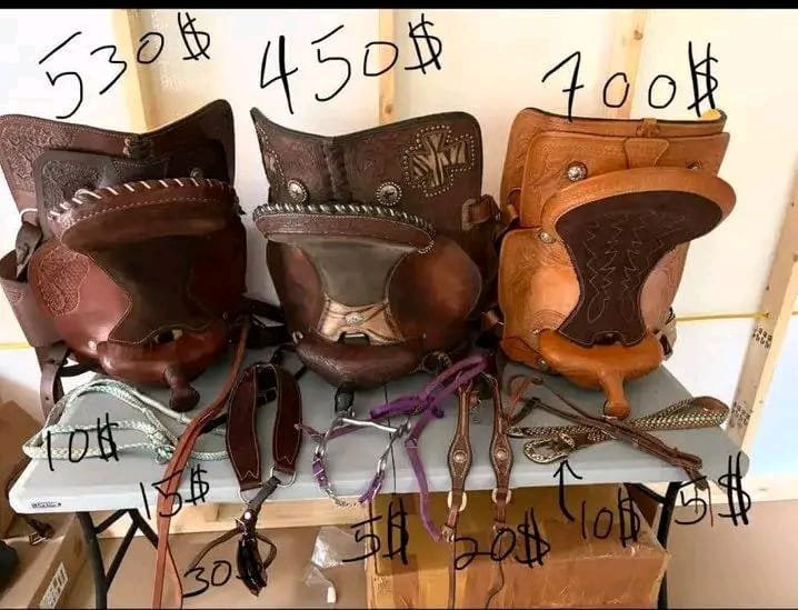WhatsApp Image 2026-08-07 at 06.13.1r ๐จ Barn Clean-Out Sale! ๐จ - Image 1